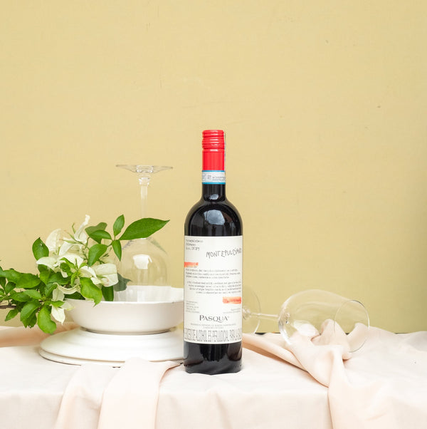 VINO ITALIANO PASQUA  MONTEPULCIANO D`ABRUZZO TINTO 750 ML