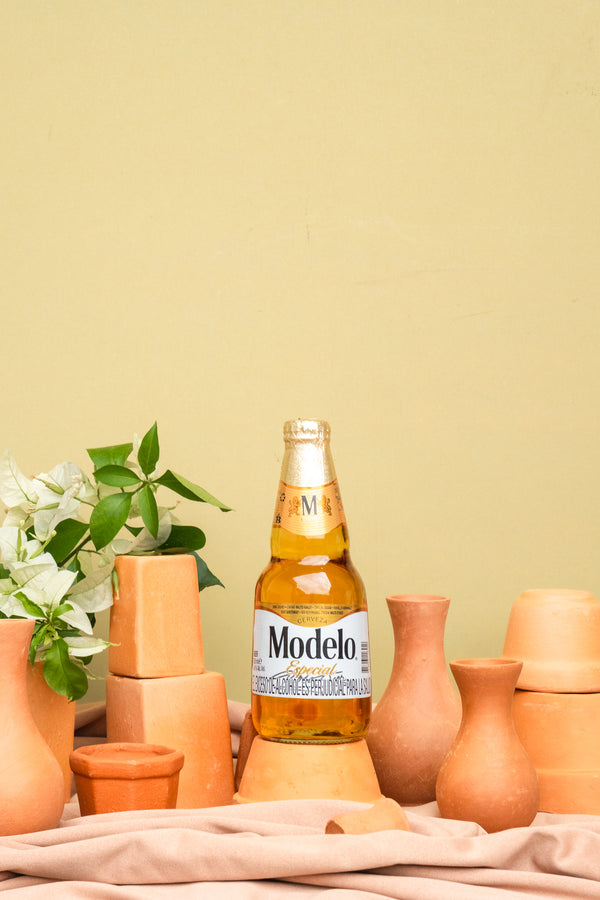 CERVEZA EXTRANJERA MODELO ESPECIAL 355 ML
