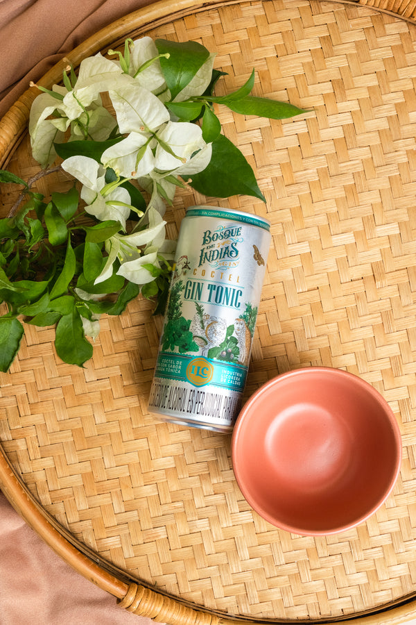 COCTEL CALDAS GIN TONIC 295 ML