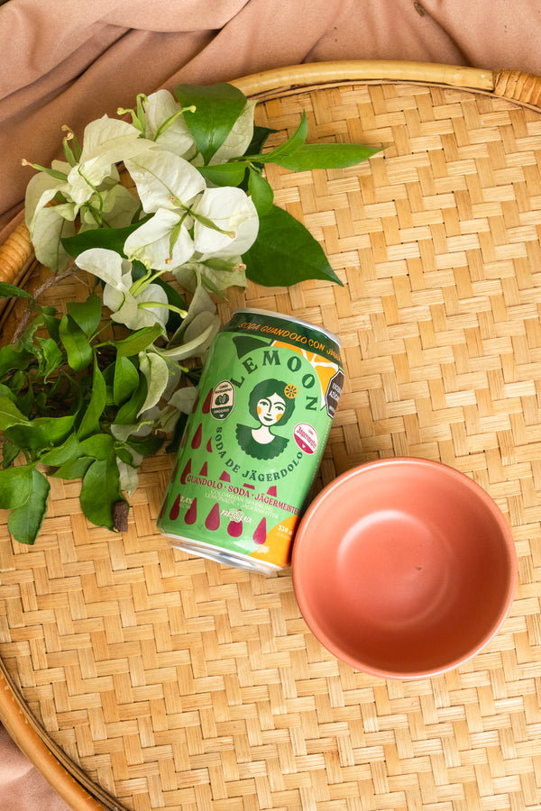 SODA LEMOON GUANDOLO CON JAGER LATA 330 ML