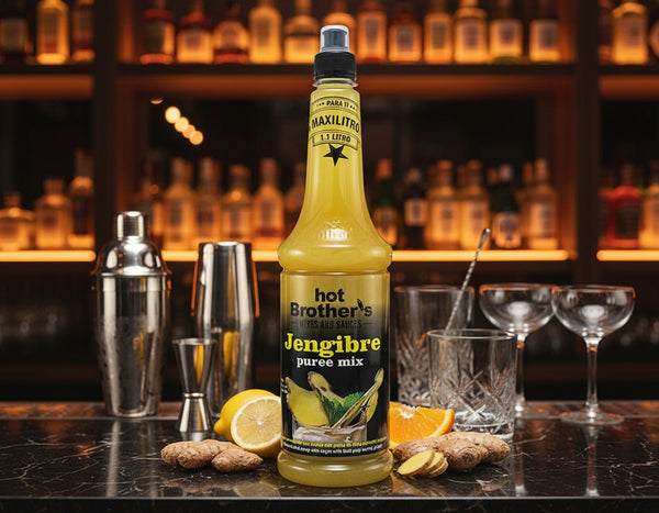MEZCLADOR P. MIX HOT BROTHERS JENGIBRE PUREE MIX 1100 ML
