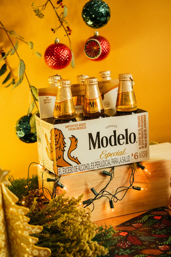 Cerveza Extranjera Modelo Especial - 355ml