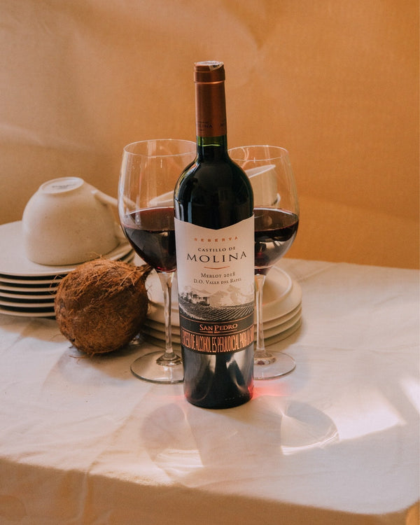 Vino Tinto Castillo de Molina Gran Reserva Merlot - 750ml