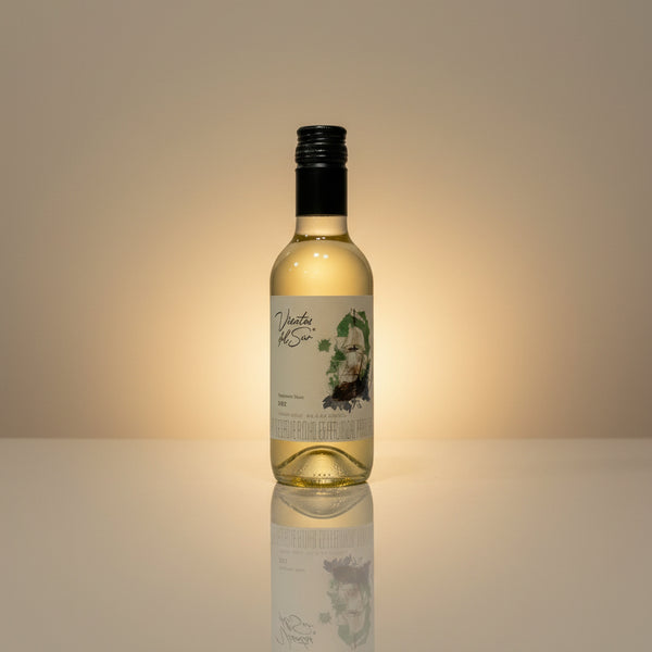 VINO CHILENO VIENTOS DEL SUR BLANCO 187 ML